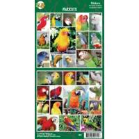 Sheet Of 27 Parrot Stickers