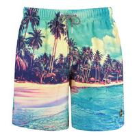 shiwi swimwear swim shorts tahiti green