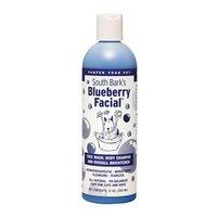 ShowSeason Blueberry Facial