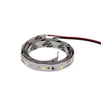 Shenmeile Flexible LED Light Strips 100 lm DC12 1 m 60 leds Warm White White Red Blue Green