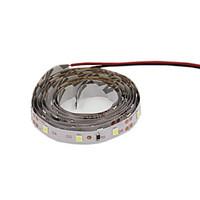 Shenmeile Flexible LED Light Strips 200 lm DC12 2m 120 leds Warm White White Red Blue Green