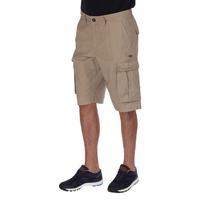 shoreway shorts nutmeg cream