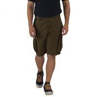 Shoreway Shorts Olive Night