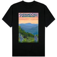 Shenandoah National Park; Virginia - Black Bear and Cubs Spring Flowers