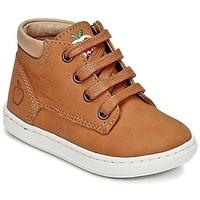Shoo Pom BOUBA ZIP DESERT boys\'s Children\'s Shoes (High-top Trainers) in brown