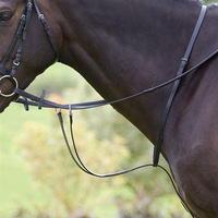 shires running martingale