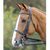 shires aviemore double bridle