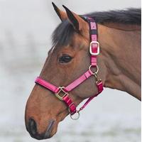 Shires Topaz Nylon Headcollar