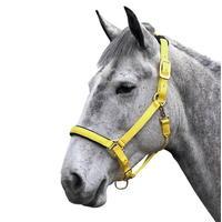 Shires Topaz Nylon Headcollar