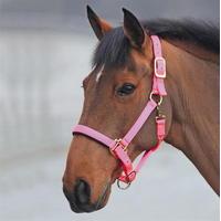 Shires Topaz Nylon Headcollar