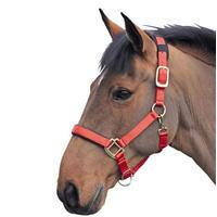 shires topaz nylon headcollar