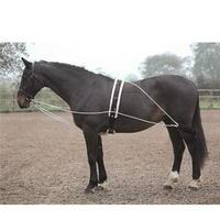 Shires Lunging Aid