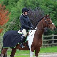 Shires Continental Pattern Ex Sheet