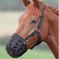 shires nylon grass muzzle