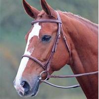 shires avignon snaffle bridle