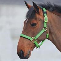 Shires Topaz Nylon Headcollar