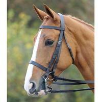 shires aviemore double bridle