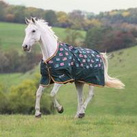 shires tempest original lite standard turnout