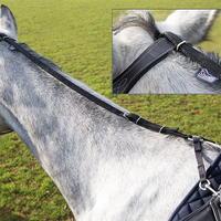 Shires Nyl DaisyRein 81