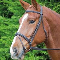 Shires Aviemore Comfort Bridle