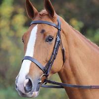 Shires Aviemore Plain Bridle