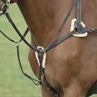 Shires Avignon 5 Point Breastplate