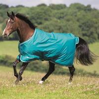 Shires Tempest Original 50gm Turnout