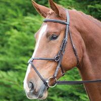 shires aviemore mexican bridle