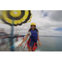 Single Parasail Flight from Paihia