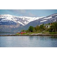 Sightseeing 3 Islands with Cabincruiser in Tromso