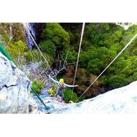 Sima de las Cotorras and El Aguacero Rappelling Adventure