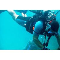Sir Francis Drake Island Full-Day Scuba Diving Adventure