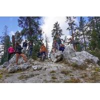 Sierra Nevada Tour of Yosemite and Tahoe