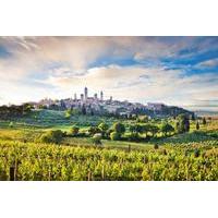 Siena, San Gimignano, Monteriggioni and Chianti Wine Tasting Tour from Florence