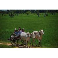 Siem Reap Local Life and Community Village Full-Day Tour