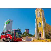 sightseeing bus tour of foz do iguau