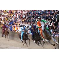 sienas palio horse race from florence including sightseeing tour and d ...