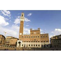 Siena Walking Tour with Contrada Museum and Ice Cream Tasting