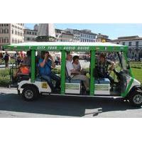 Sightseeing Walking and Electric Car Tour