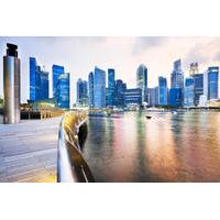 Singapore Arrival Transfer: Airport to Cruise or Ferry Port