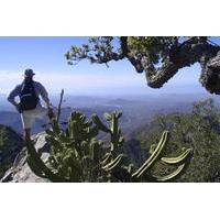 sierra de la laguna biosphere reserve hike from todos santos