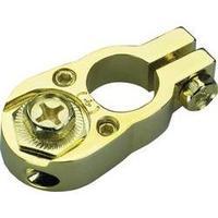 Sinuslive Sinus Live BK1 + battery terminal Terminal +, gold-plated (L x W) 55 x 30 mm