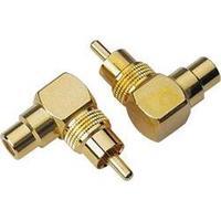 Sinuslive CWS [1x RCA plug (phono) - 1x RCA connector (phono)]