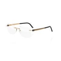 Silhouette Eyeglasses TITAN ACCENT 5450 6051