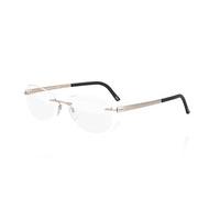 Silhouette Eyeglasses TITAN ACCENT 4495 6053