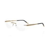 Silhouette Eyeglasses FINESSE 4441 6063