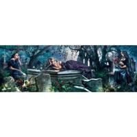 Silent Whispers Jigsaw Puzzle