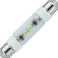 Signal Construct MSOE083952 12V 0.25W 2-Chip LED Festoon Bulb Warm...