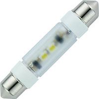 Signal Construct MSOE083954 24V 0.4W 2-Chip LED Festoon Bulb Warm ...