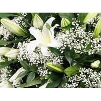 Single Ended White Lilies Funeral Spray